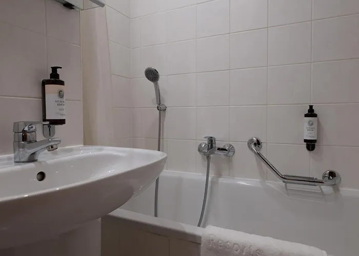 Orea Voro 3* Brno